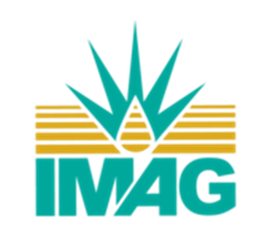 logo de imag